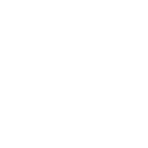 Developer City